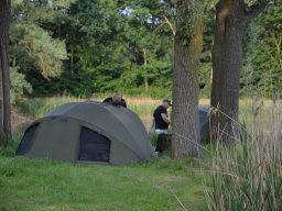 Competities HSV Alfheim